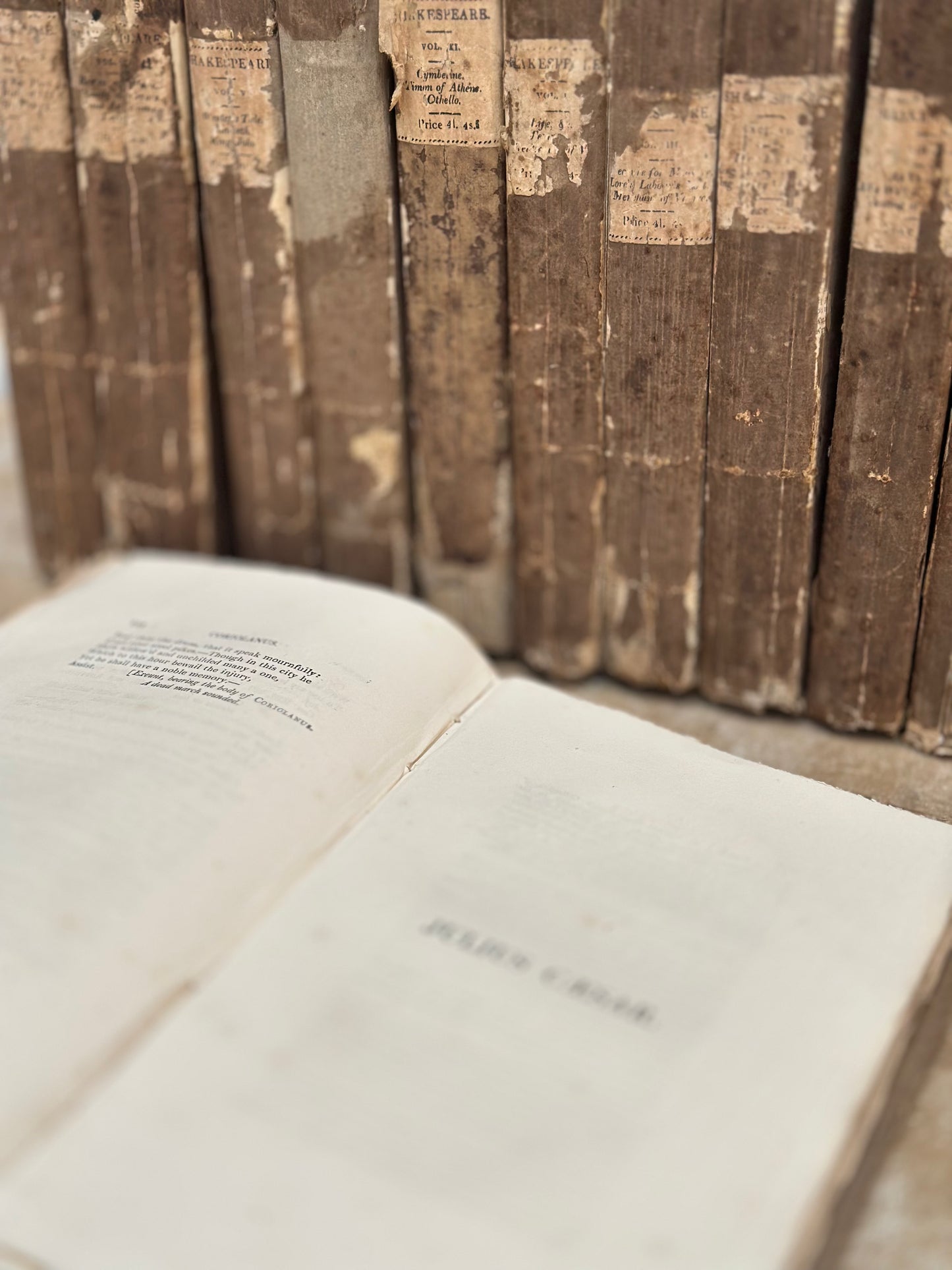 Set of 12 19th Century Shakespeare Plays