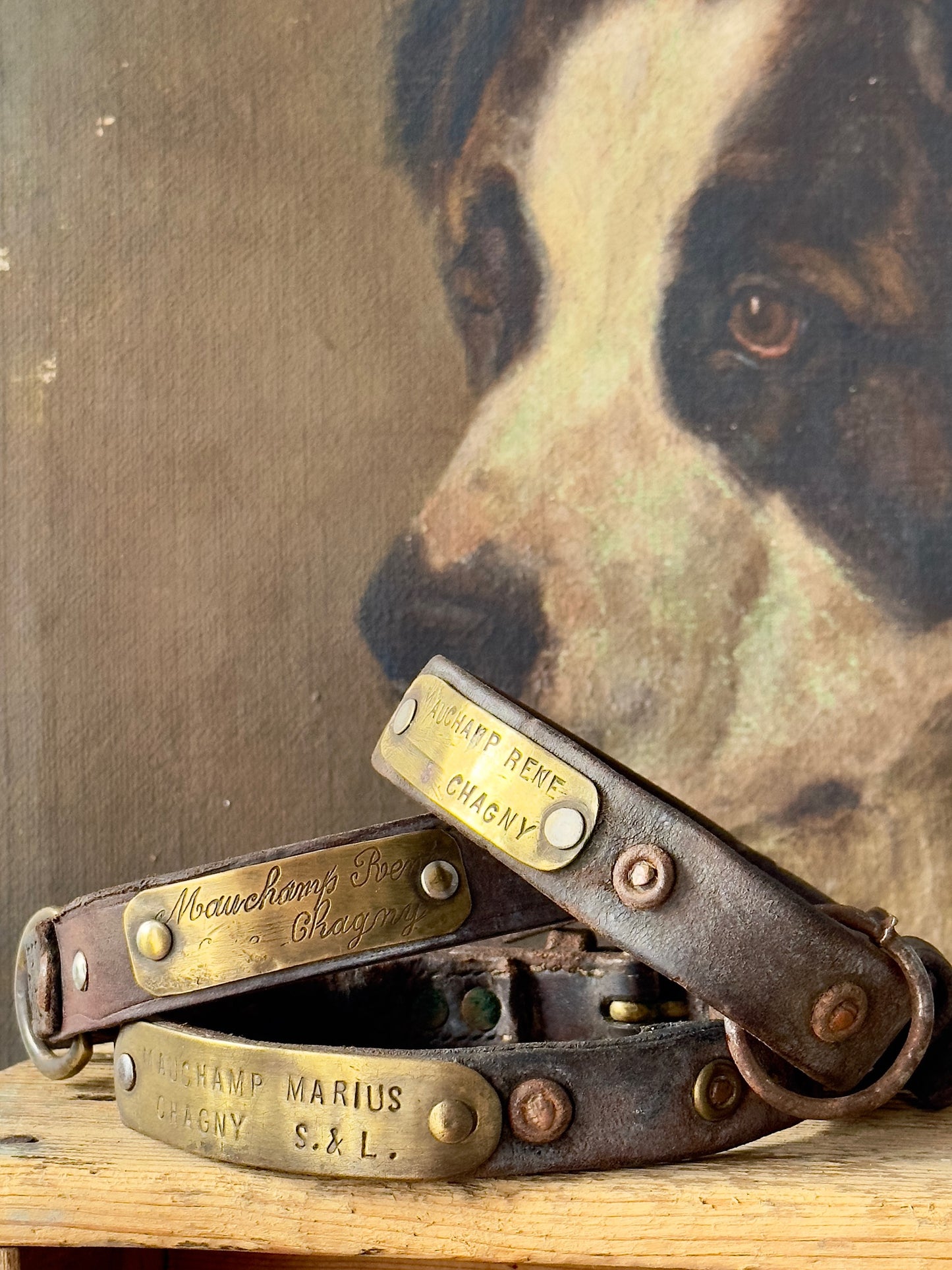 19th C Leather and Brass French Dog Collars