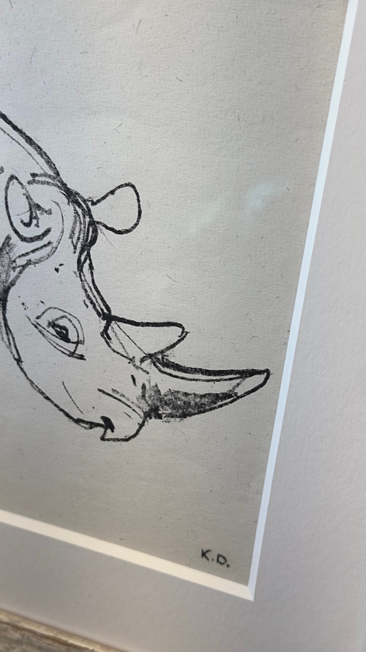 Charcoal Drawing of a Rhinoseros, by Hug