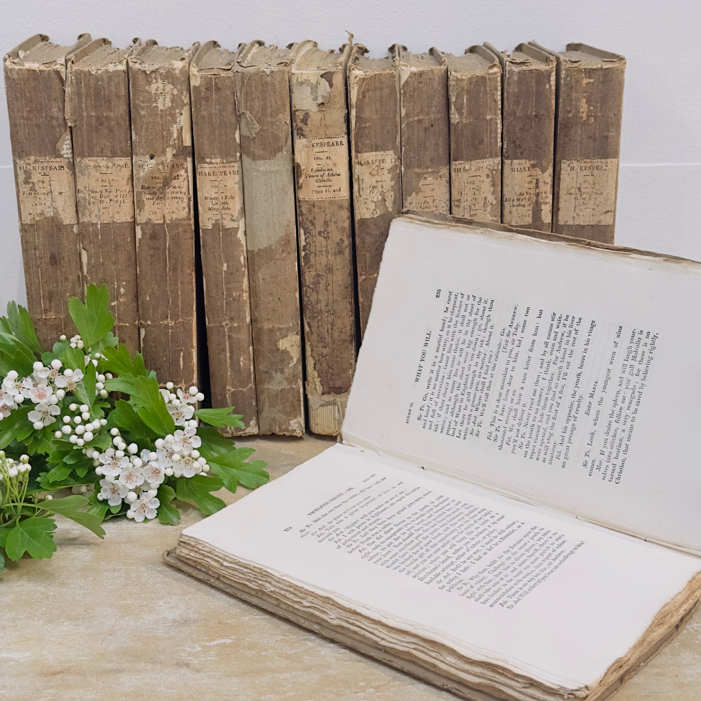 Set of 12 19th Century Shakespeare Plays