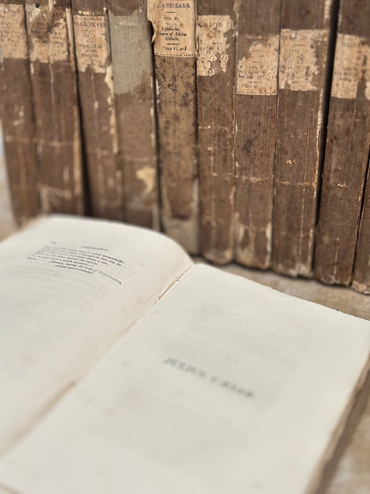 Set of 12 19th Century Shakespeare Plays