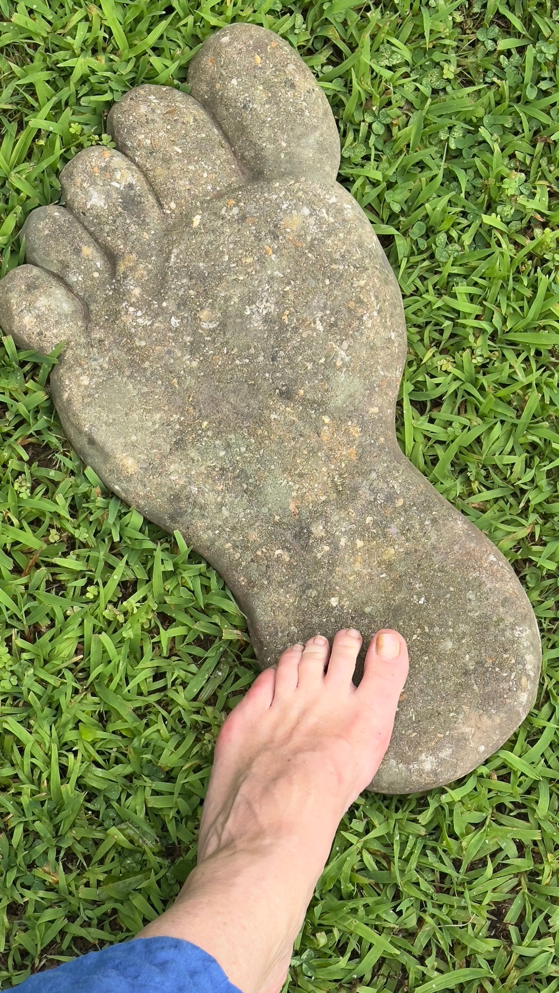 Set of 6 Weathered English Stone oversized Garden Feet, Stepping Stones