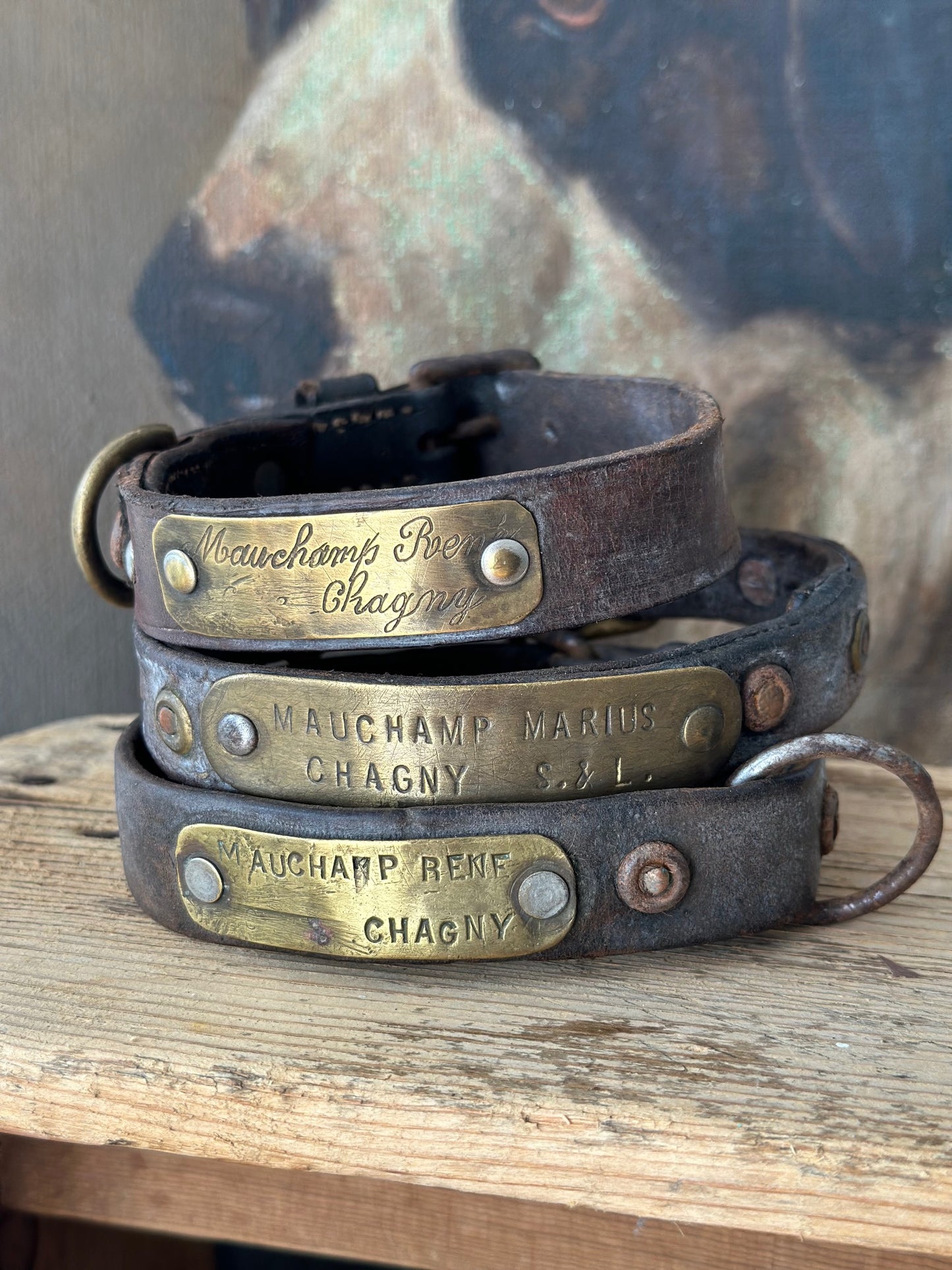 19th C Leather and Brass French Dog Collars