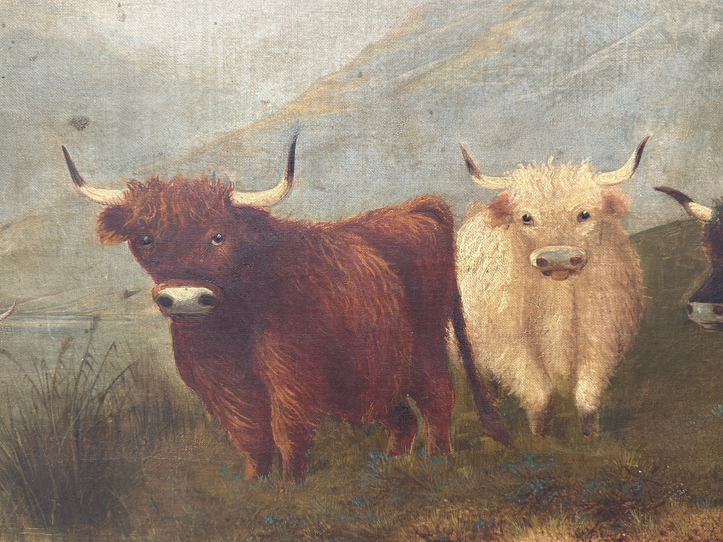 19th C Oil Painting on Canvas of Scottish Cattle on the Moors