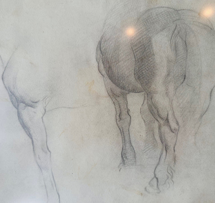 Early 1900s Italian Equine Framed Sketch, Signed