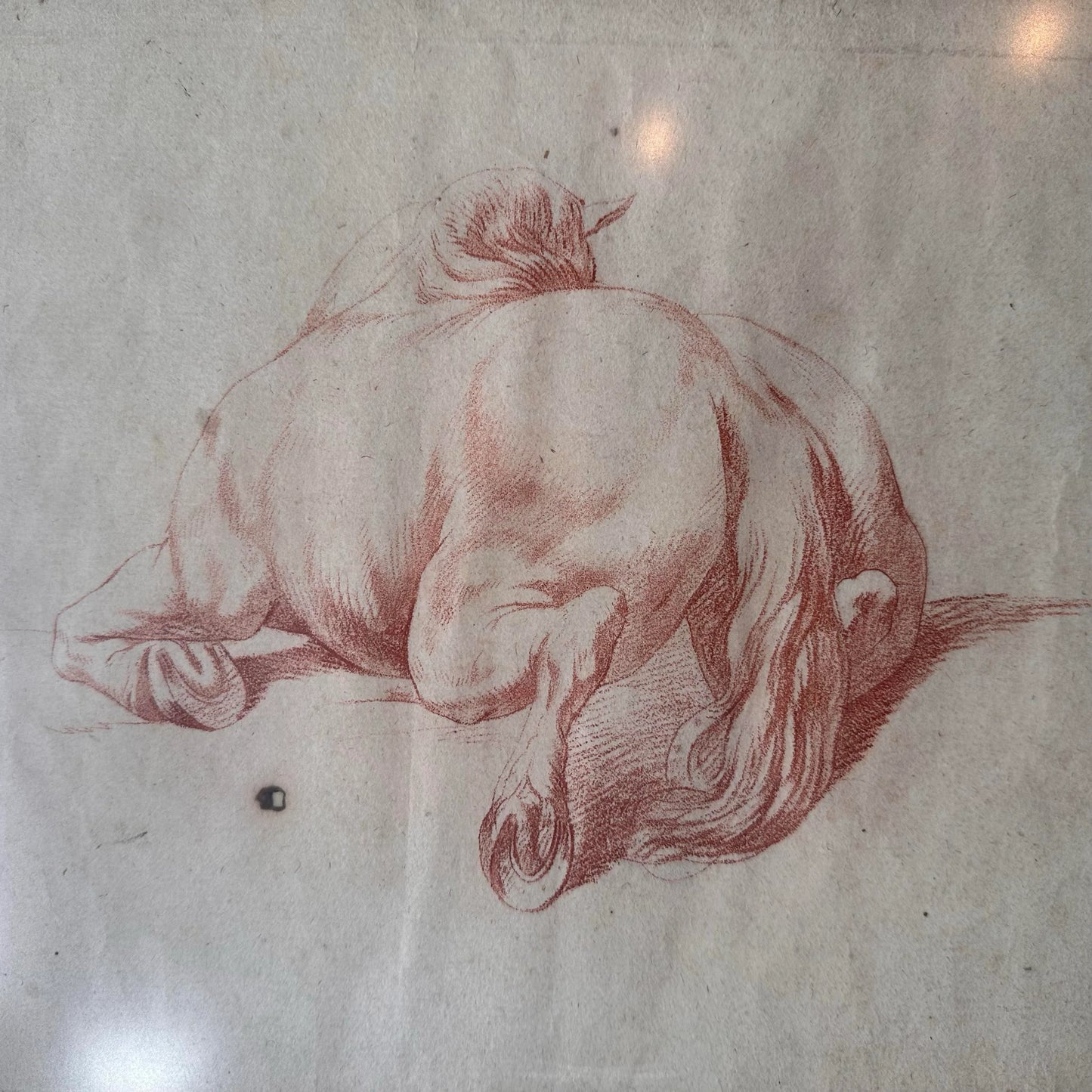 Equine Sketch 18th Century on Paper, Framed in Antique Frame