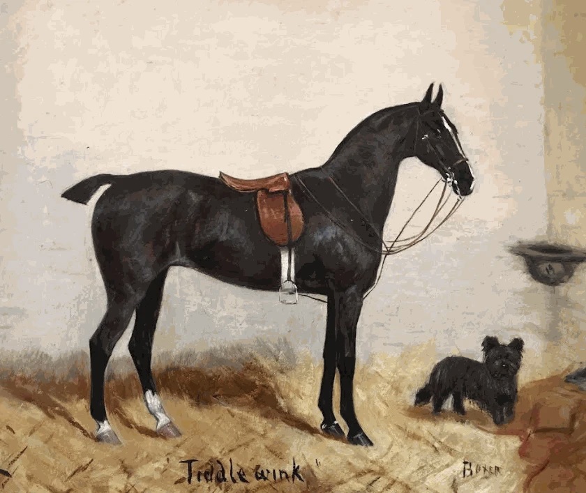 19th Century Portrait of a Horse, by George Paice, British c 1891